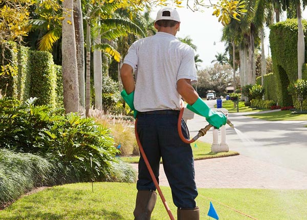 About Crawford NE Pest Control